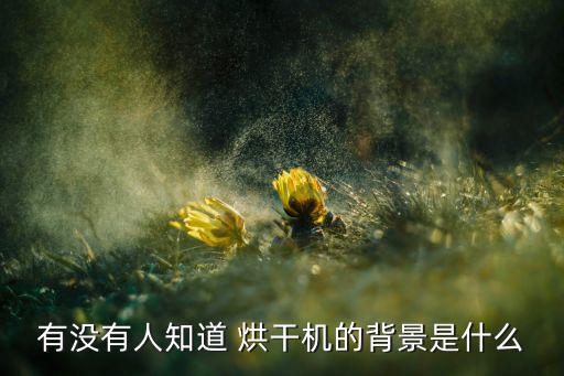 有没有人知道 烘干机的背景是什么