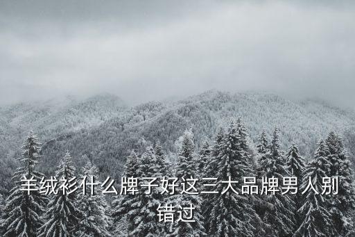 羊绒行业有哪些大品牌,中国羊绒大衣雪莲品牌成立