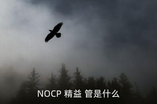 精益管是哪个行业,第二代精益pipe管道可在工厂自行安装