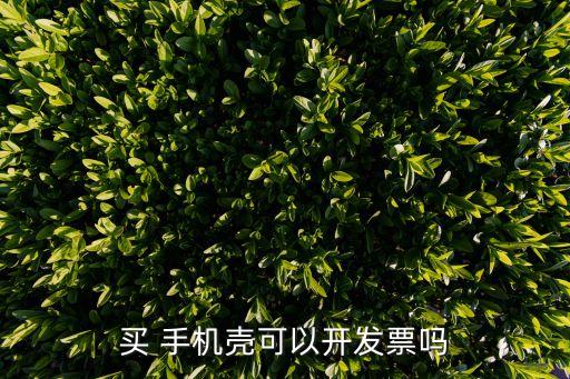 买 手机壳可以开发票吗