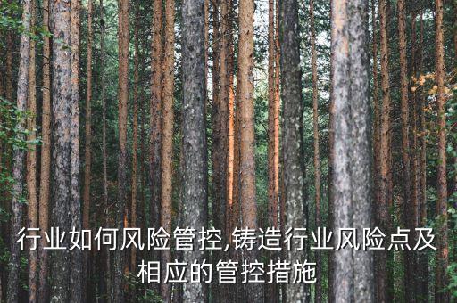 敏感行业如何风险管控,铸造行业风险点及相应的管控措施