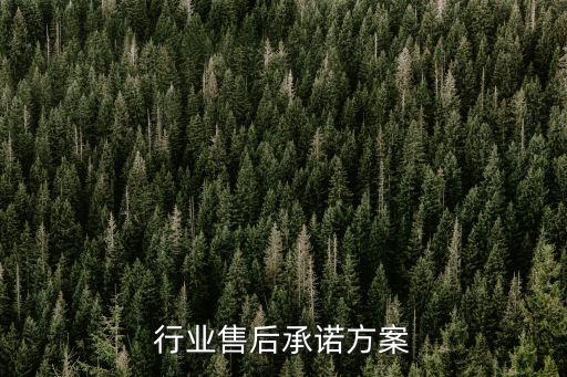电气行业售后承诺方案
