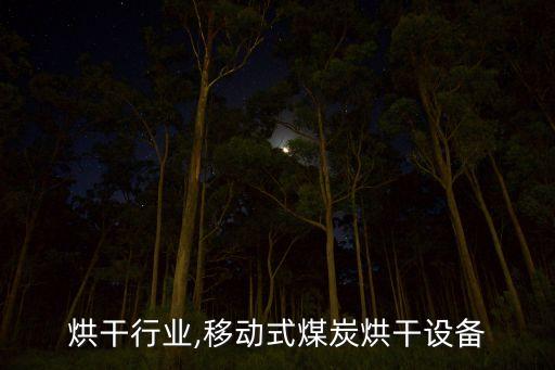 煤炭烘干行业,移动式煤炭烘干设备