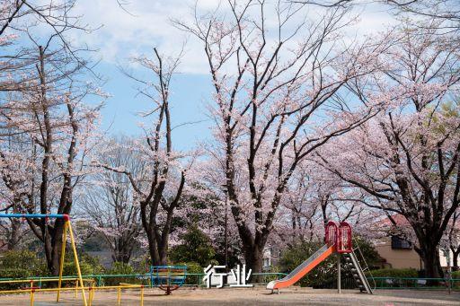 地漏行业