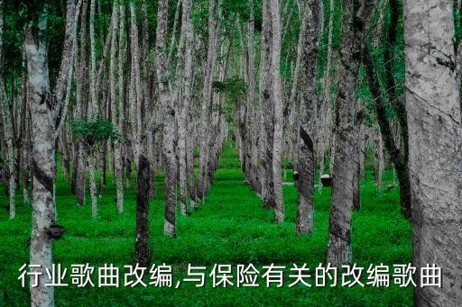 保险行业歌曲改编,与保险有关的改编歌曲