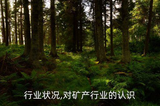 矿产行业状况,对矿产行业的认识