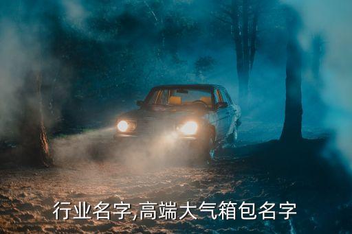 箱包行业名字,高端大气箱包名字
