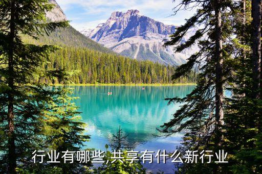 共享行业有哪些,共享有什么新行业