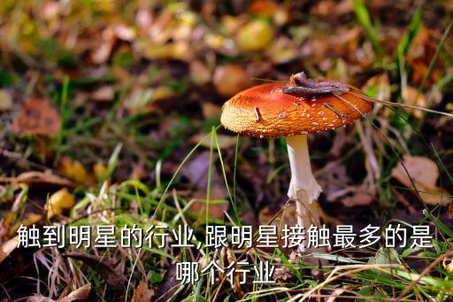 能接触到明星的行业,跟明星接触最多的是哪个行业