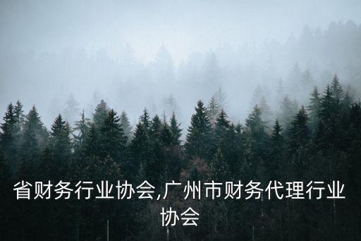 河南省财务行业协会,广州市财务代理行业协会