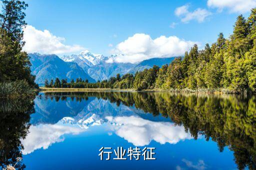 云盘行业特征