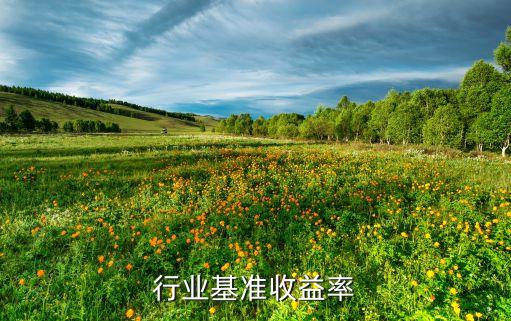养老行业基准收益率