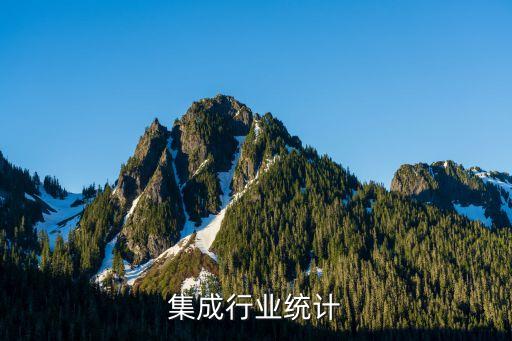 系统集成行业统计