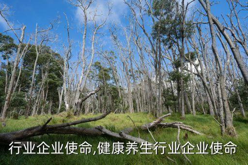 检测行业企业使命,健康养生行业企业使命