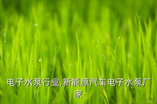 汽车电子水泵行业,新能源汽车电子水泵厂家