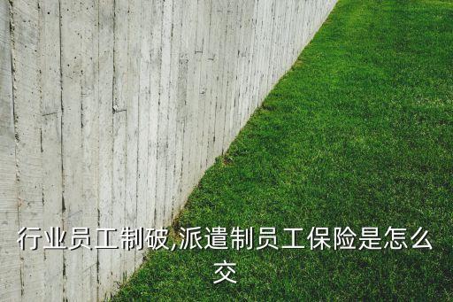 保险行业员工制破,派遣制员工保险是怎么交