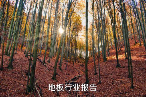 木制地板行业报告