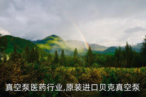 贝克真空泵医药行业,原装进口贝克真空泵