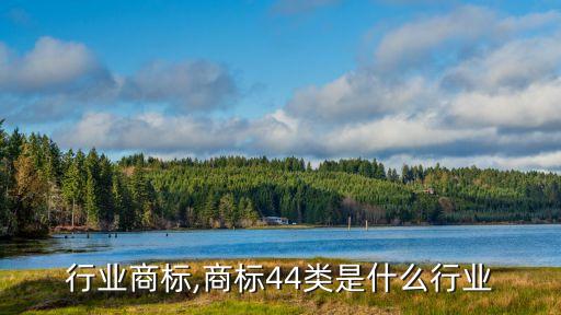 医护行业商标,商标44类是什么行业