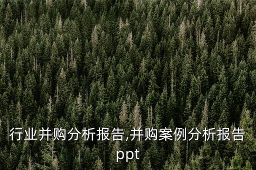 水泥行业并购分析报告,并购案例分析报告ppt