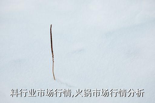 火锅料行业市场行情,火锅市场行情分析