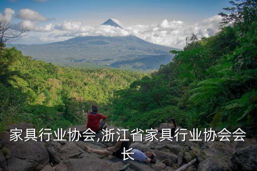 海安家具行业协会,浙江省家具行业协会会长