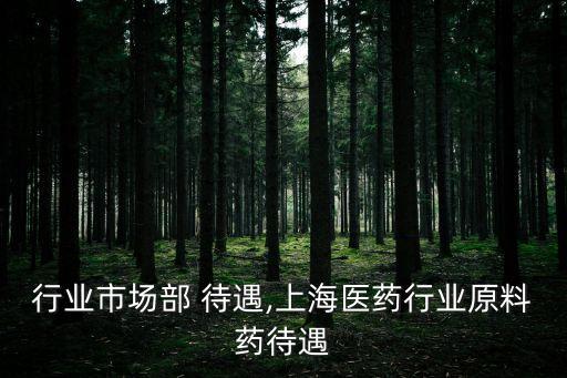 医药行业市场部 待遇,上海医药行业原料药待遇