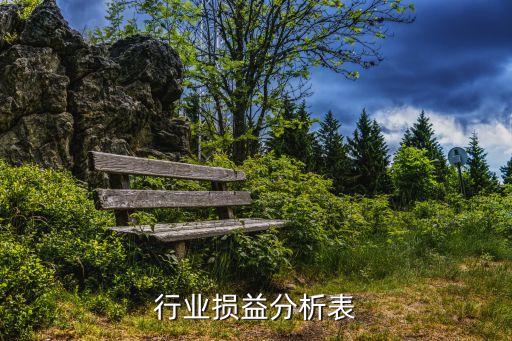 模具行业损益分析表