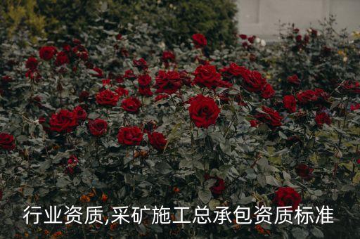 采矿行业资质,采矿施工总承包资质标准