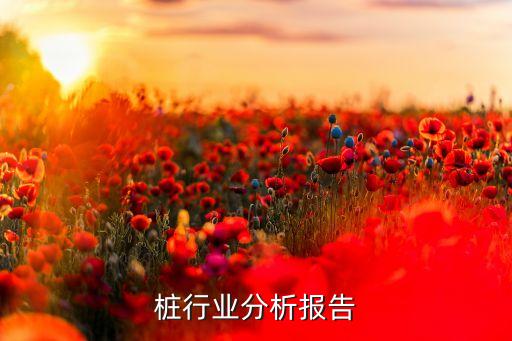 充电桩行业分析报告
