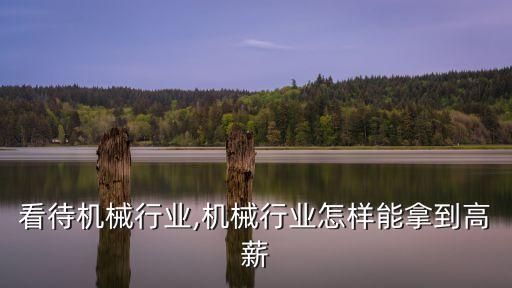 怎样看待机械行业,机械行业怎样能拿到高薪