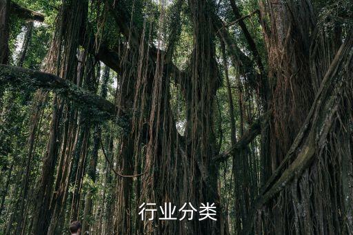 靴子 行业分类