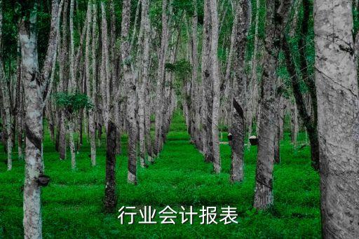 餐饮行业会计报表