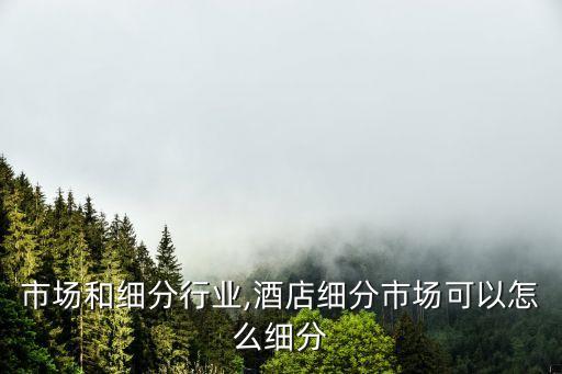 细分市场和细分行业,酒店细分市场可以怎么细分
