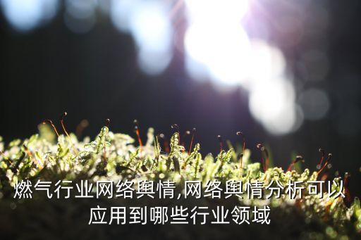 城市燃气行业网络舆情,网络舆情分析可以应用到哪些行业领域