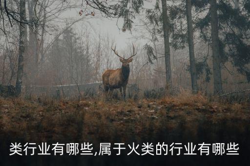 辅助类行业有哪些,属于火类的行业有哪些