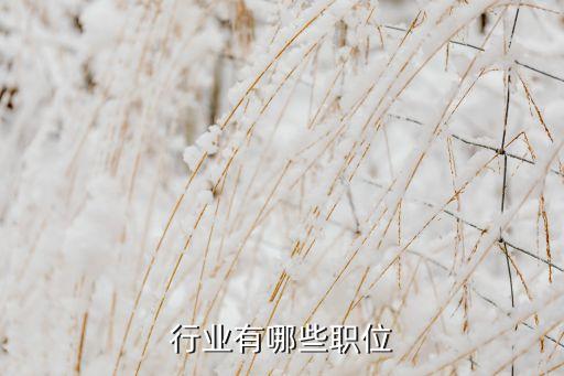 汽车行业有哪些职位