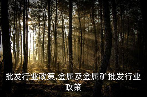 物资批发行业政策,金属及金属矿批发行业政策