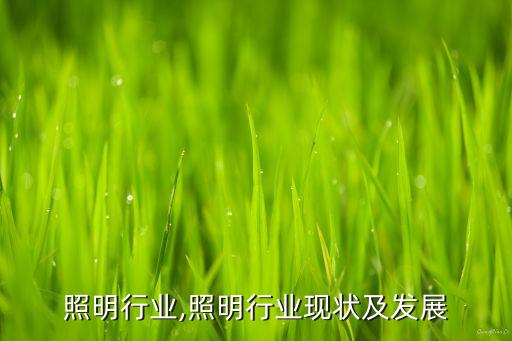 韩国照明行业,照明行业现状及发展