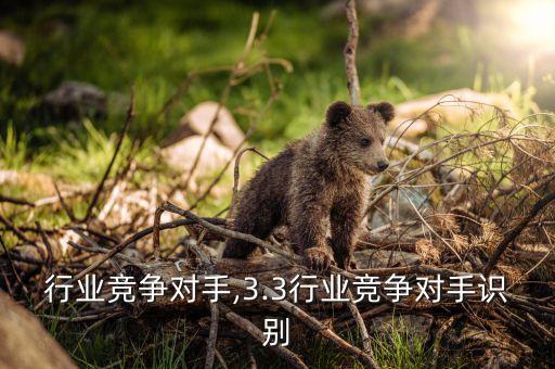 日本行业竞争对手,3.3行业竞争对手识别