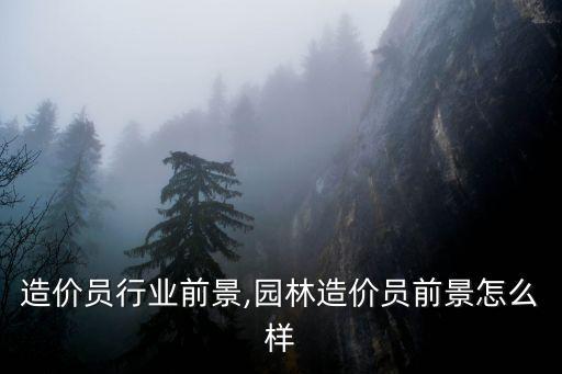 北京造价员行业前景,园林造价员前景怎么样