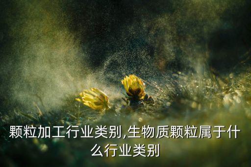 塑料颗粒加工行业类别,生物质颗粒属于什么行业类别
