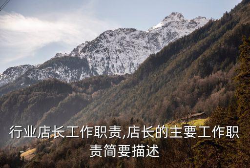 鞋子行业店长工作职责,店长的主要工作职责简要描述
