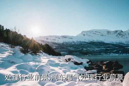 废弃处理行业前景,汽车尾气处理行业前景