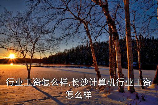 保健行业工资怎么样,长沙计算机行业工资怎么样