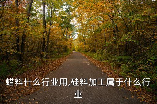 3号蜡料什么行业用,硅料加工属于什么行业