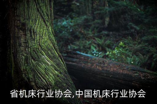 江苏省机床行业协会,中国机床行业协会
