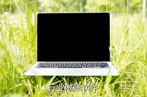 餐饮行业做账软件