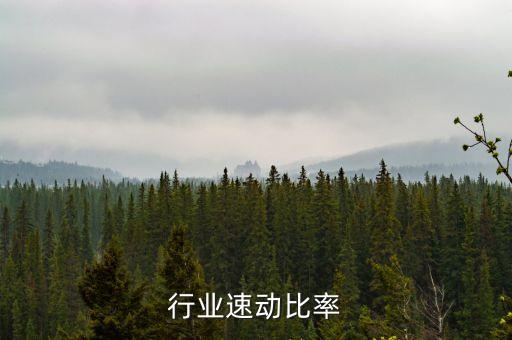 建筑行业速动比率