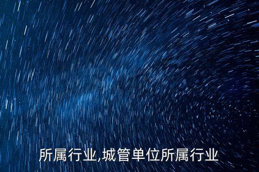 城管所属行业,城管单位所属行业